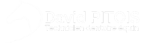 DAVID PITOIS Technicien dentaire équin