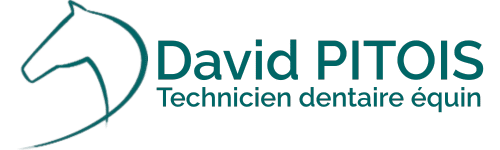 DAVID PITOIS Technicien dentaire équin
